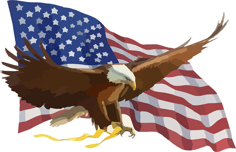 Eagle and Flag Logo